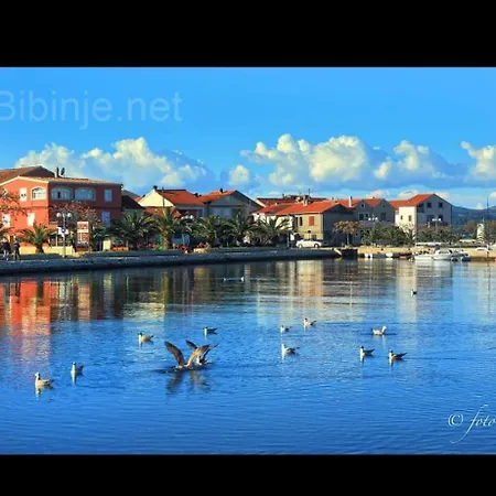Mate * Bibinje