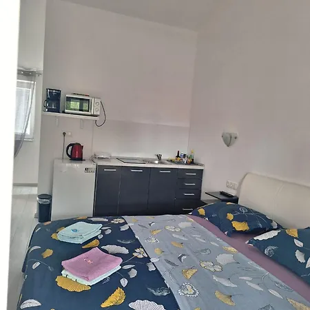 住宿加早餐酒店 Mate